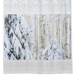 Cortina Para Box Inverno Sun na floresta do álamo do abeto vermelho