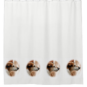 CORTINA PARA BOX JACK RUSSELL TERRIER DOG