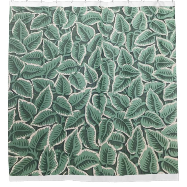 Cortina Para Box Jane Austen Home Wallpaper (Frente)