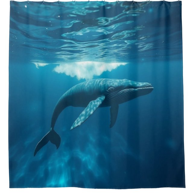 Cortina Para Box „König der Ozeane – Die stille Macht des Wals“ (Frente)