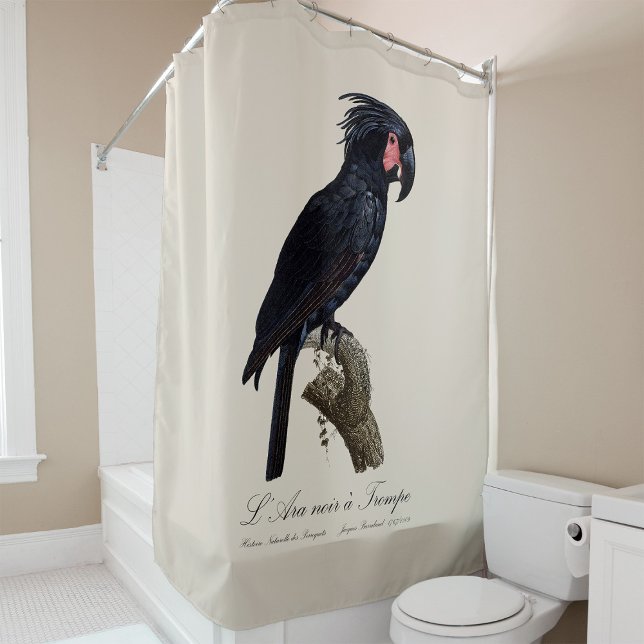 Cortina Para Box L' Ara Noir a Trompe / Palm Cockatoo (L' Ara Noir a Trompe / Palm Cockatoo. Shower Curtain)