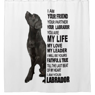 Cortina Para Box Labrador Retriever Oferece Imagem Face A Laborató