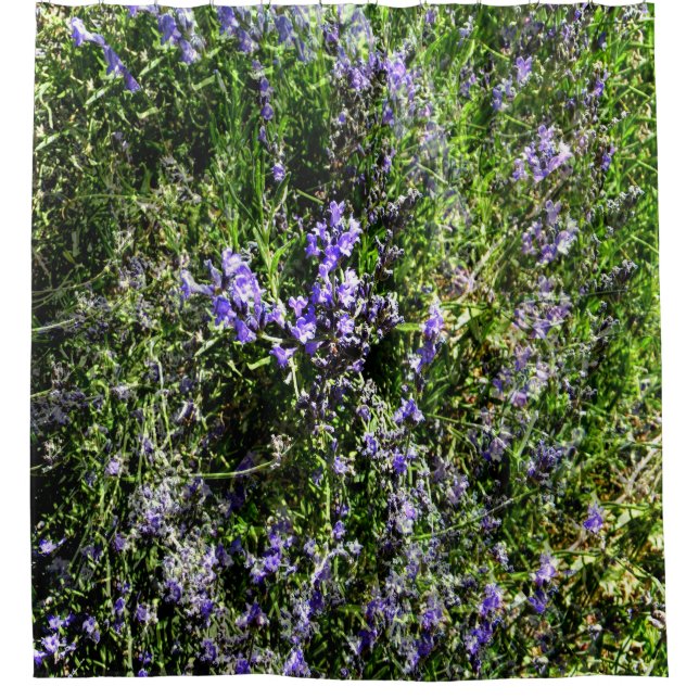 Cortina Para Box Lavanda adorável..... (Frente)