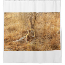 Cortina Para Box Leão