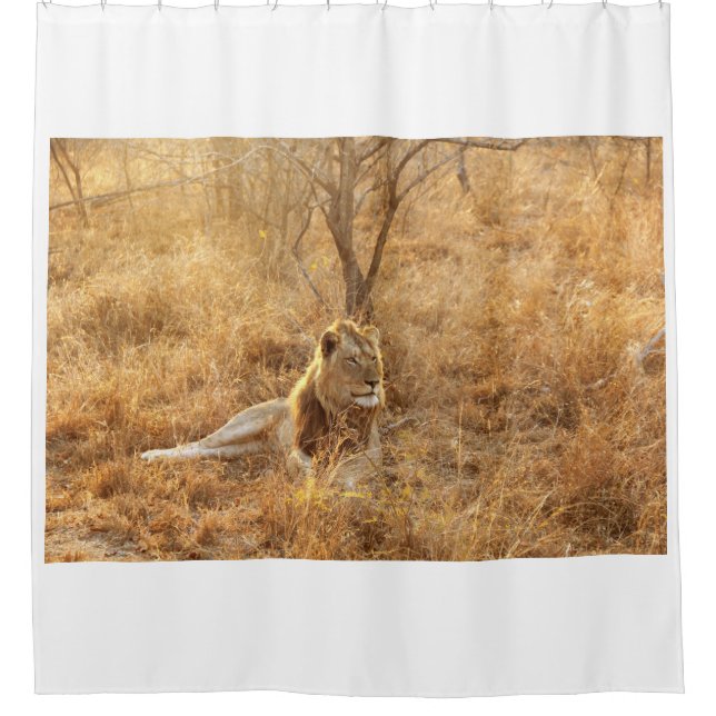 Cortina Para Box Leão (Frente)