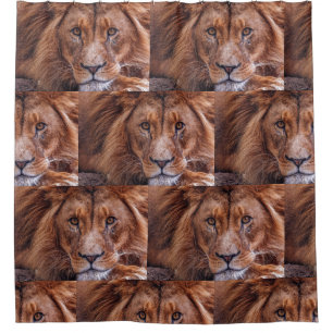 Cortina Para Box Leão Africano
