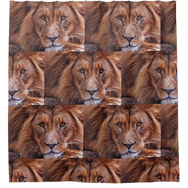 Cortina Para Box Leão Africano (Frente)