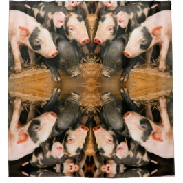 Cortina Para Box Leitões-de-leite