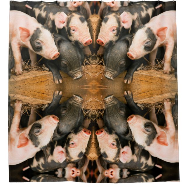 Cortina Para Box Leitões-de-leite (Frente)