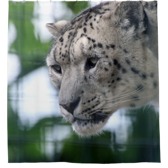 Cortina Para Box Leopardo 003 (Frente)