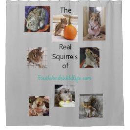 Cortina Para Box Limpo ao quadrado