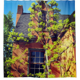 Cortina Para Box Linda cortina Chá