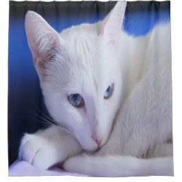 Cortina Para Box Lindo Gato Branco/Adicione a Foto do Seu Animal de