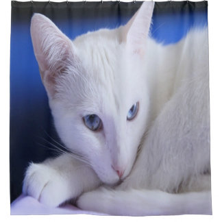 Cortina Para Box Lindo Gato Branco/Adicione a Foto do Seu Animal de