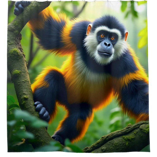 Cortina Para Box Macaco (Frente)