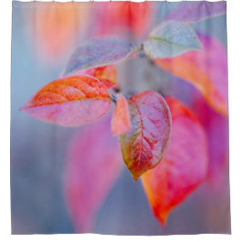 Cortina Para Box Majexpressa Folhas