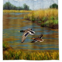 Mallard Ducks Voando Sobre Pond
