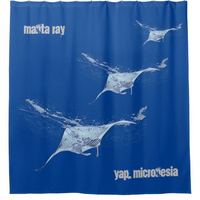 Cortina Para Box Manta ray (Frente)