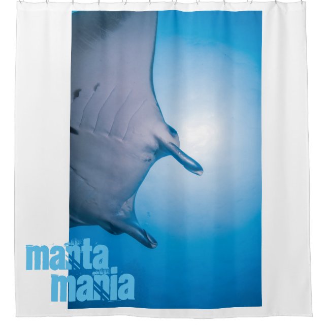 Cortina Para Box Manta ray (Frente)
