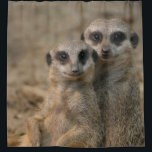 Cortina Para Box Meerkat 067<br><div class="desc">Photo portrait of a lovely couple of meerkats... </div>