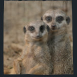 Cortina Para Box Meerkat 067<br><div class="desc">Photo portrait of a lovely couple of meerkats... </div>