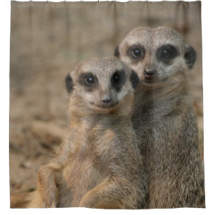 Cortina Para Box Meerkat 067