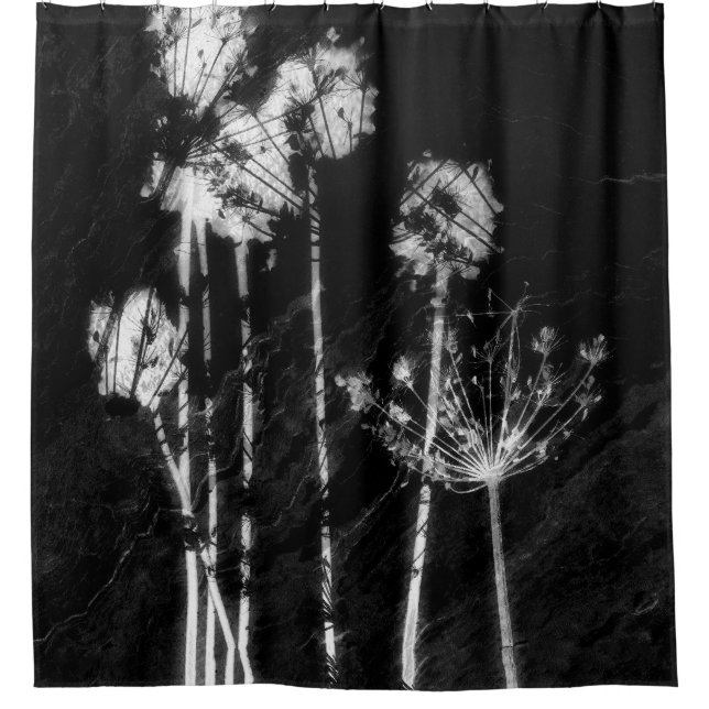 Cortina Para Box Monochrome High Contrast Dried Wildflowers Graphic (Frente)