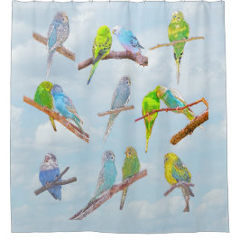 Cortina Para Box Muitos periquitos coloridos - pequenos pássaros bo