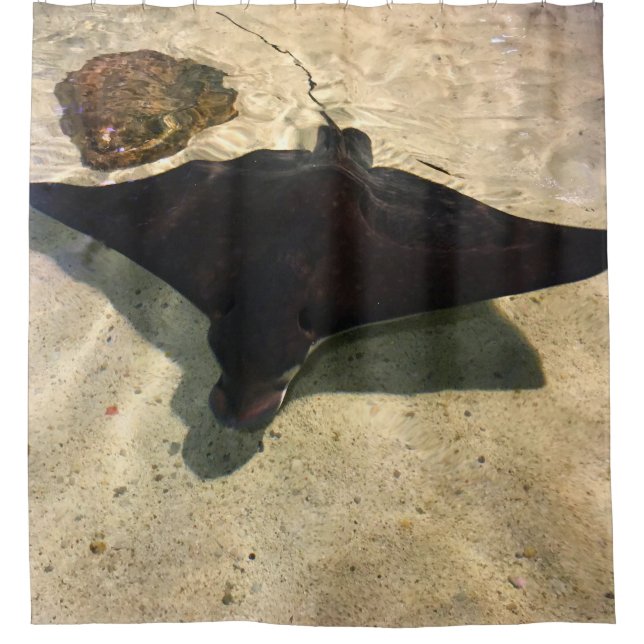 Cortina Para Box Mystical Stingray (Frente)