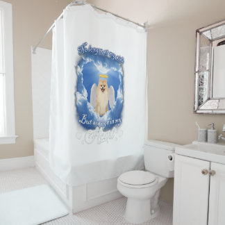 Cortina Para Box Não Mais Ao Meu Lado, Mas Sempre No Meu Coração