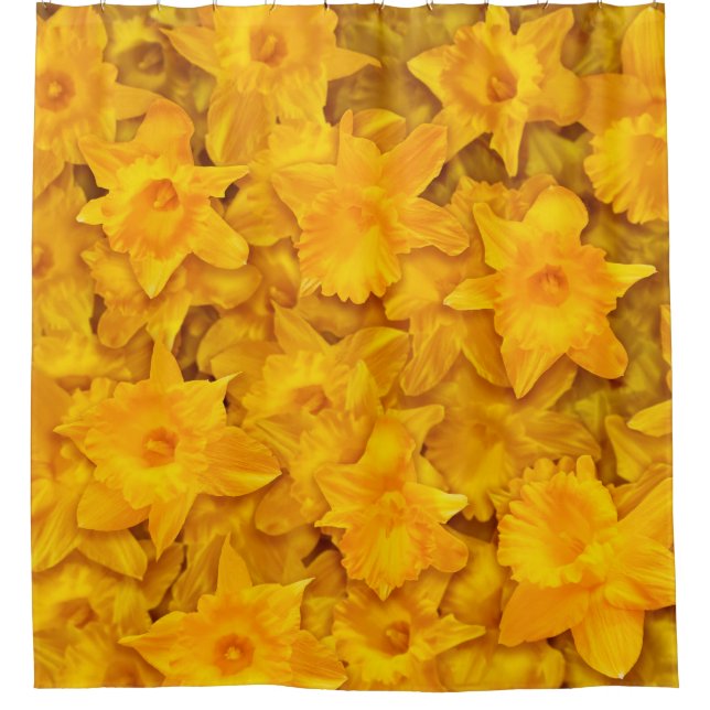 Cortina Para Box Narcissus Flowers (Frente)