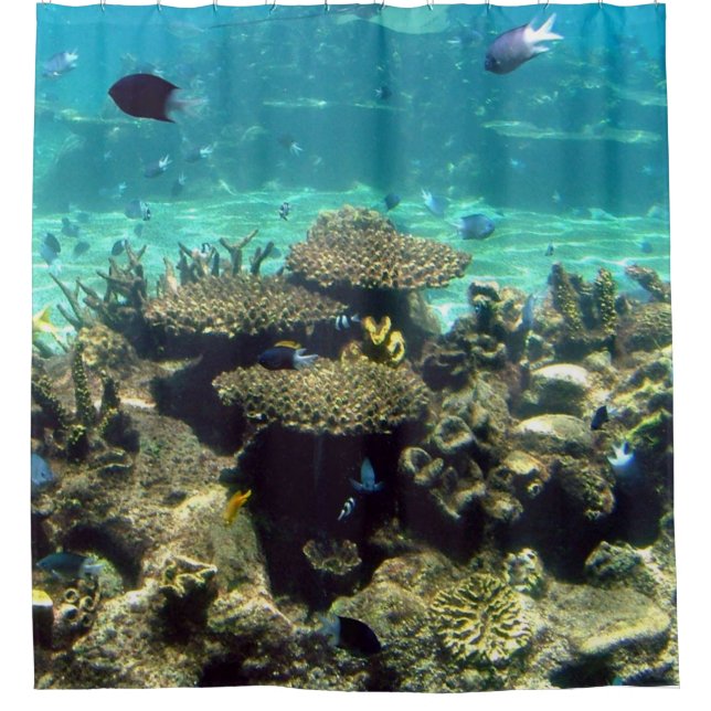 CORTINA PARA BOX NATAÇÃO COM OS PEIXES (Frente)