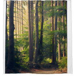 Cortina Para Box Natureza, Árvores no Parque Nacional