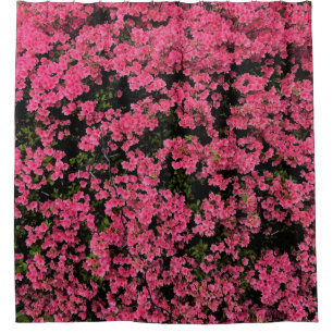 Cortina Para Box Natureza lindo da imagem da árvore do rosa do