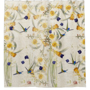 Cortina Para Box O Daffodil dos pássaros do colibri floresce a