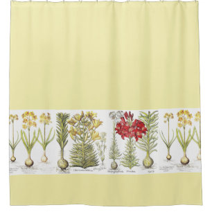 Cortina Para Box O narciso botânico do lírio do vintage floresce