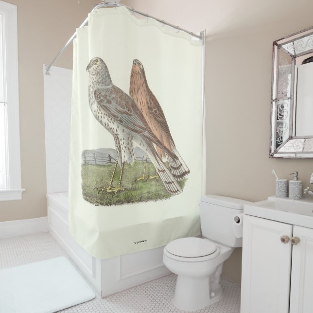 Cortina Para Box O Norte Harrier NY Bird (In Situ)