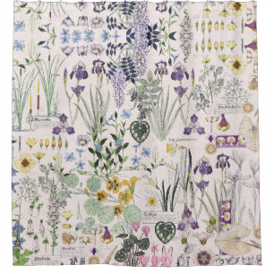 Cortina Para Box O vintage francês de Nouveau da arte floresce a