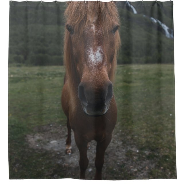 CORTINA PARA BOX OLÁ, EU SOU UM CAVALO (Frente)