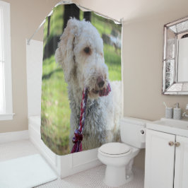 Cortina Para Box Ollie