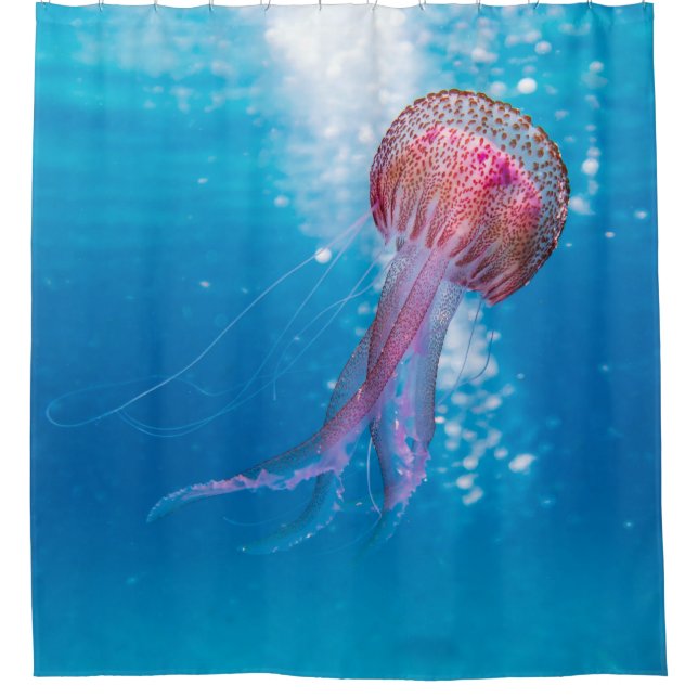 Cortina Para Box Ondas marítimas (Frente)