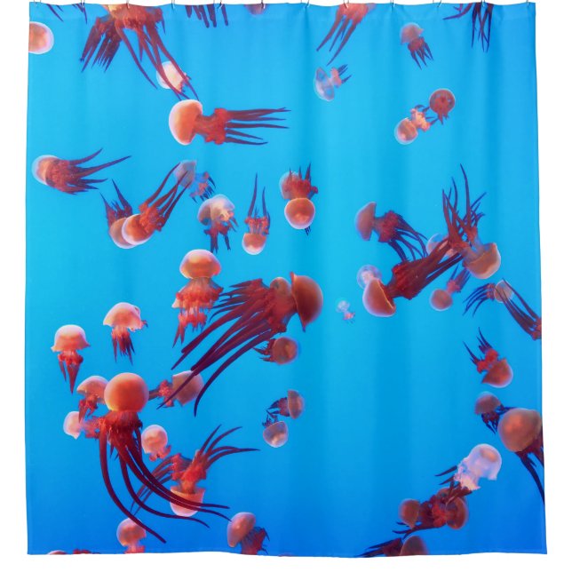 CORTINA PARA BOX ORANGE JELLY FISH (Frente)