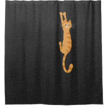  Orange Tabby Cat Hanging On | Funny Striped Cat