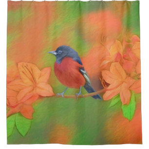 Cortina Para Box Orchard Oriole Songbird Pintura Original