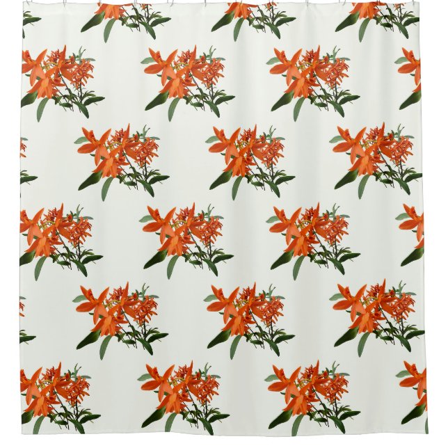 Cortina Para Box Orquídea Epidendrum Laranja (Frente)