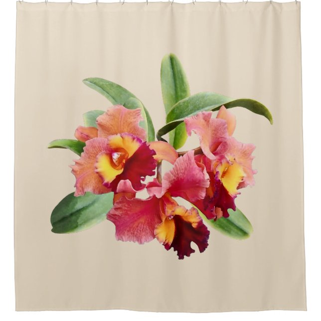 Cortina Para Box Orquídeas Cattleya Rosa e Carmesim (Frente)