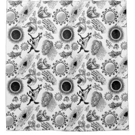 Cortina Para Box Padrão de 10 pragas