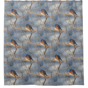 Cortina Para Box Padrão de Arte do Pássaro Natural da Bluebird Wi