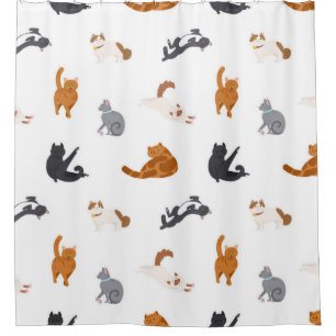 Cortina Para Box Padrão de Cat