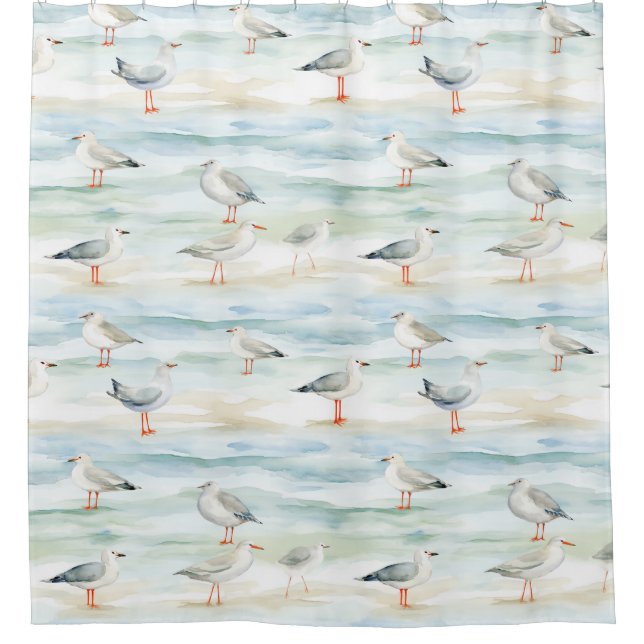 Cortina Para Box Padrão de Costa do Maçarico Costeiro (6) (Frente)